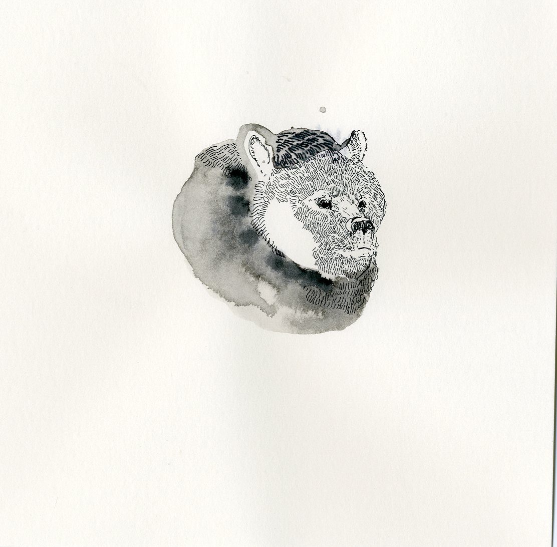 illustration 05