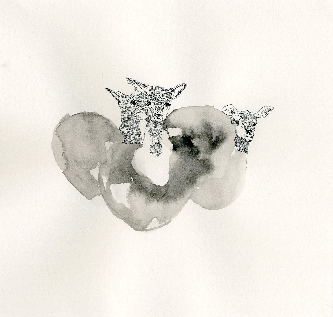 illustration 07
