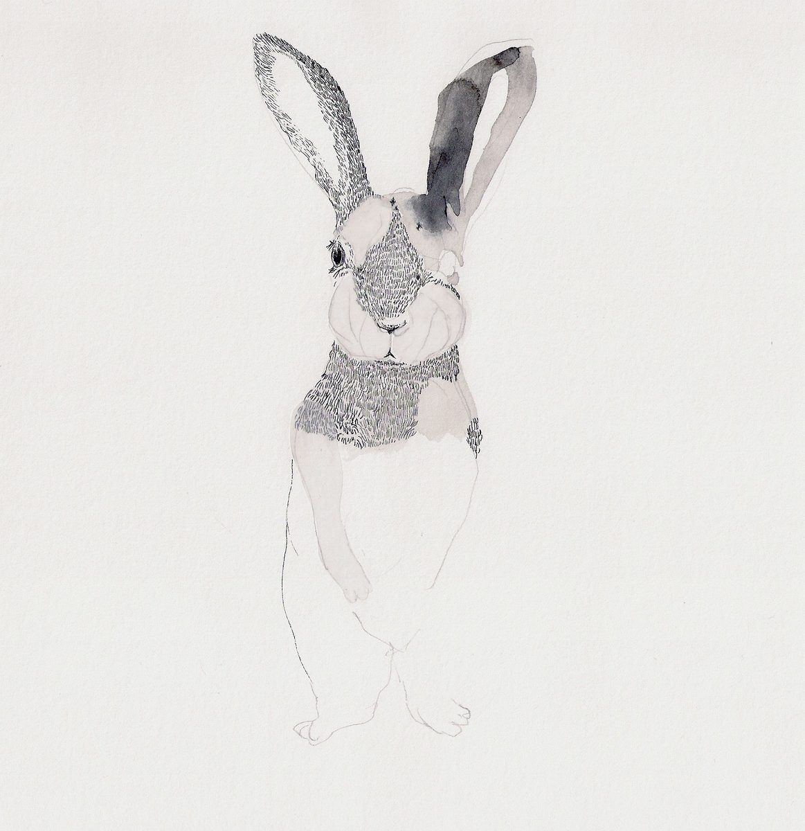 illustration 10