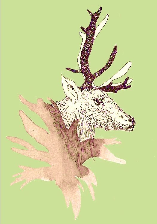 illustration 11