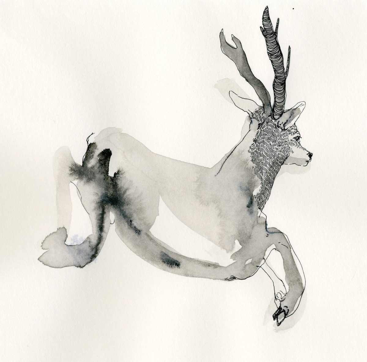 illustration 13